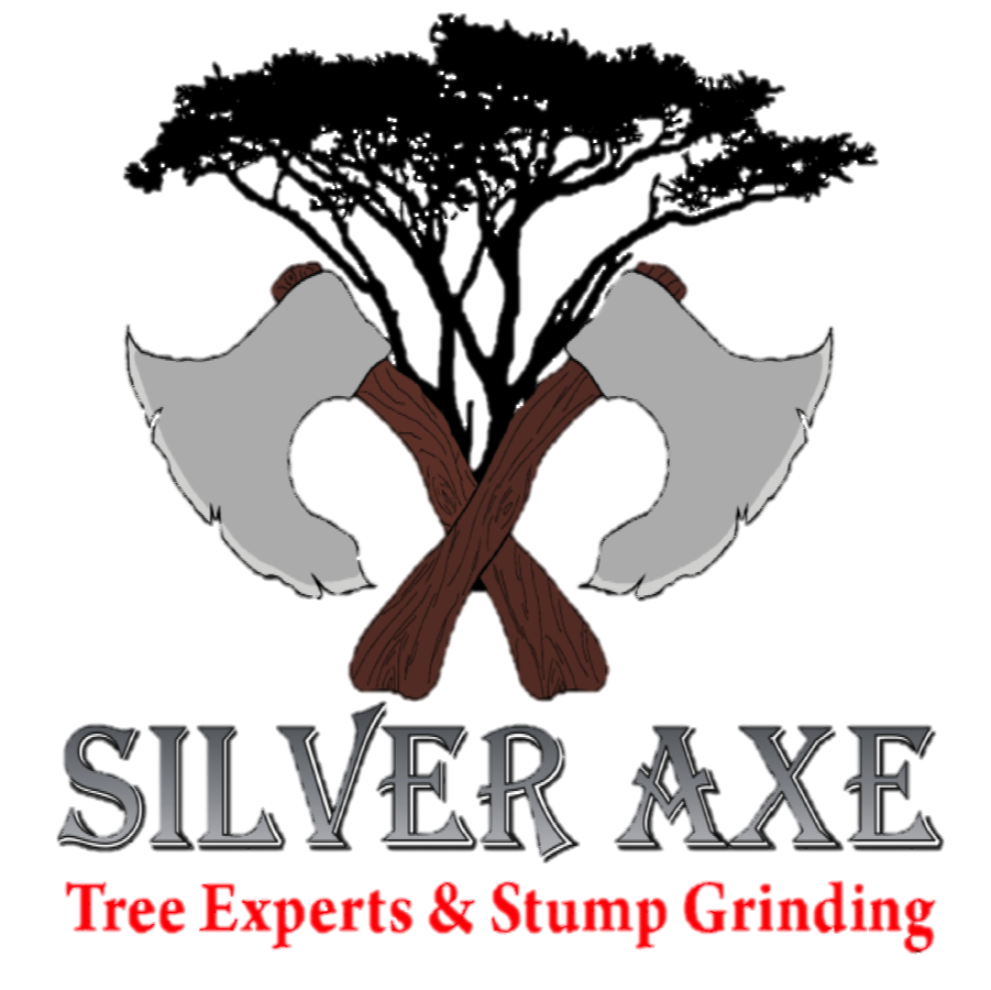 Silver Axe Tree Experts Reviews Alpharetta, GA Angi [Angie's List]